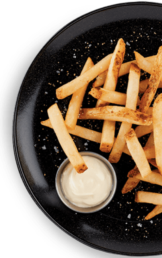Bord met friet en mayonaise | Frietwagen huren